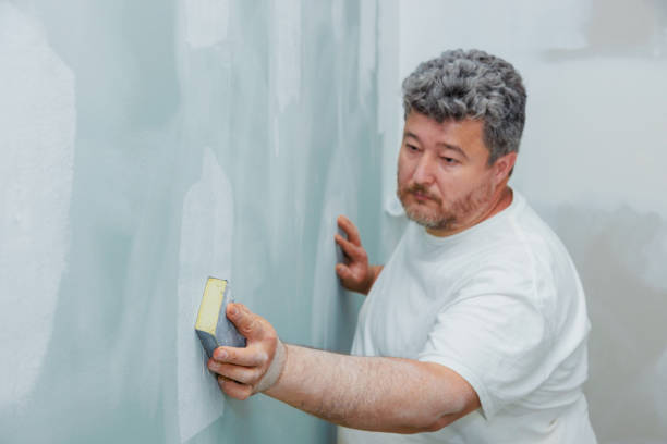 Best HVAC Mold Inspection and Cleaning  in Central City, IL